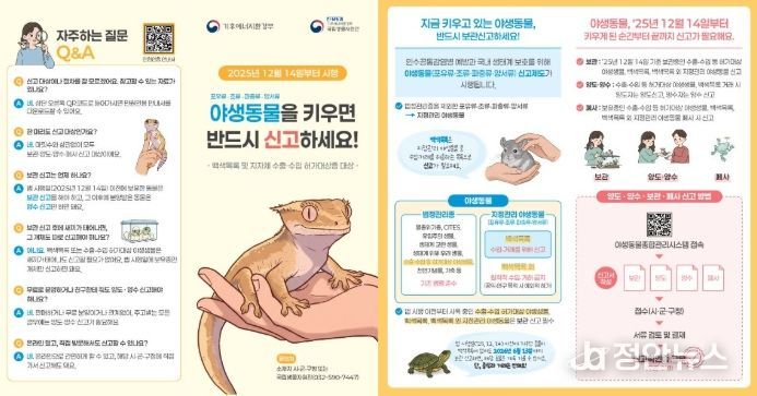 야생동물 한 마리라도 키우면 신고하세요!