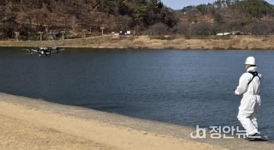 밀양시가 밀양강 일원에서 드론을 활용해 방역 작업을 실시하고 있다.
