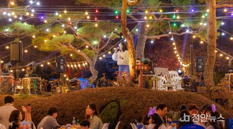 '2026년 합천호 별꽃야시장 축제'성료