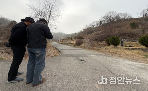 인천가족공원(3-2단계) 드론촬영