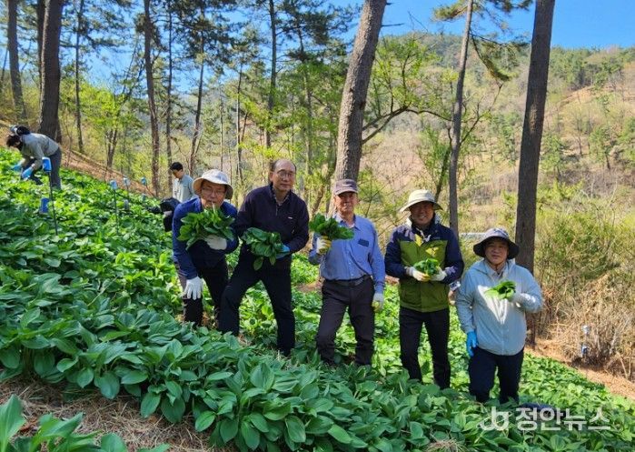 산촌 일손 돕기 행사
