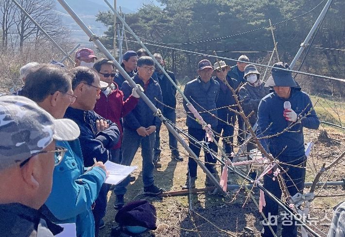 함양군, 고품질 만생복숭아 생산을 위한 현장 교육 실시