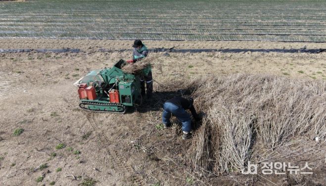 산청군 오부면, 영농부산물 1.5㏊ 규모 파쇄