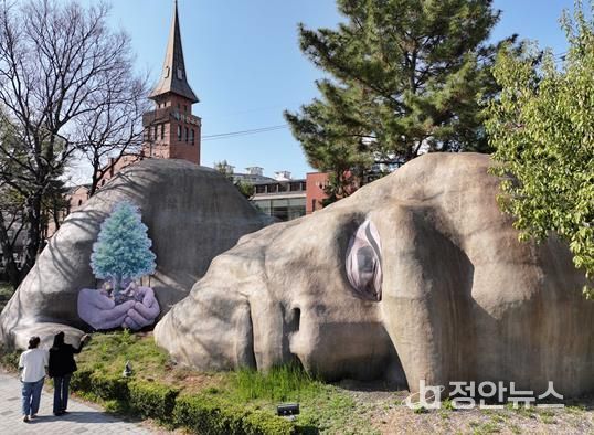 달서구, ‘이만옹’ 과 편백나무로 생명·세대 메시지 담은 상징 콘텐츠 공개
