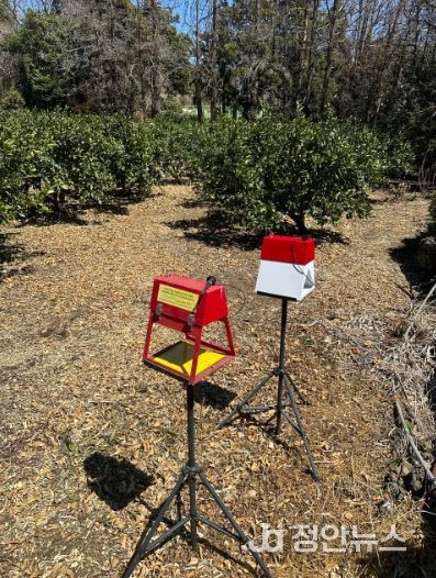 디지털트랩 설치 전경